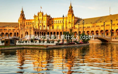 使用dptr需要注意什么？(dptr)