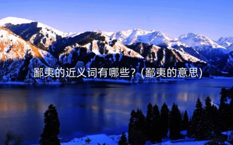 鄙夷的近义词有哪些？(鄙夷的意思)