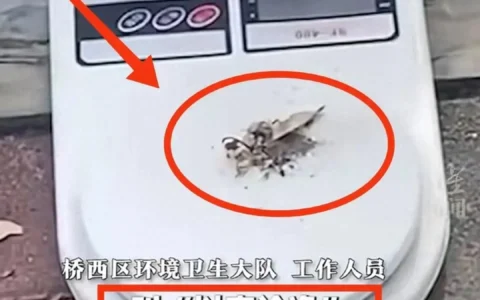 闹大了！环卫工用电子秤测灰尘：官方回应“以克论净”，只奖不罚
